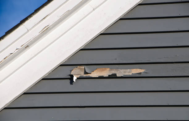 Reliable Franklin Park, FL Junk Removal Solutions
