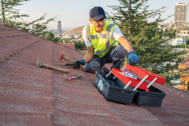 Best Carpet Removal and Disposal  in Franklin Park, FL