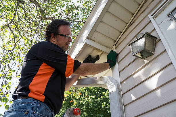 Best Shed Removal  in Franklin Park, FL